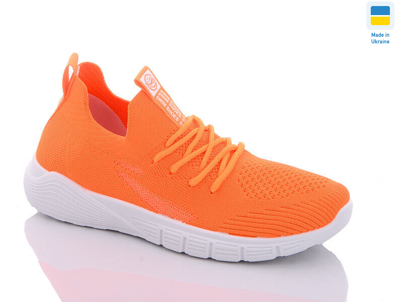 095-1, 8 (36-41), <strong>290</strong>, літо