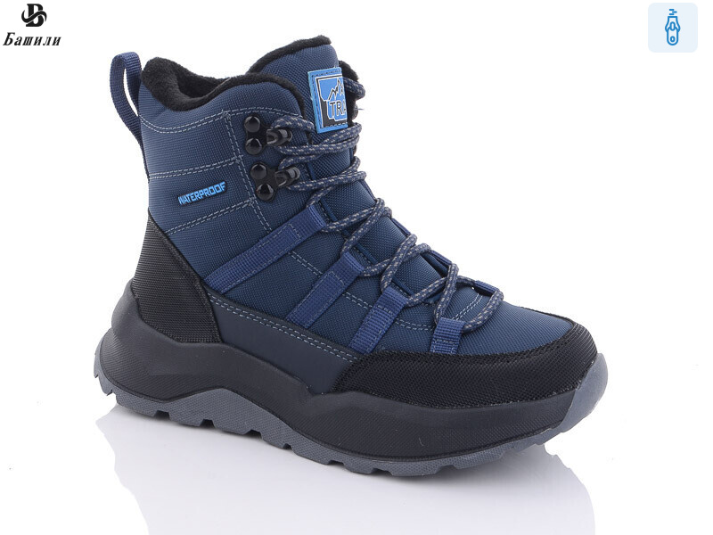 8868-1B, 8 (33-38), <strong>660</strong>, зима