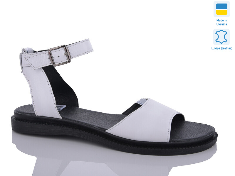 59 б.ш., 6 (41-43), <strong>480</strong>, літо