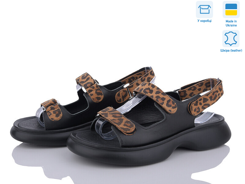 879-213, 6 (36-40), <strong>480</strong>, літо