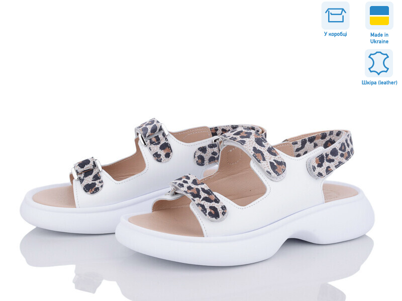 879-811, 6 (36-40), <strong>480</strong>, літо