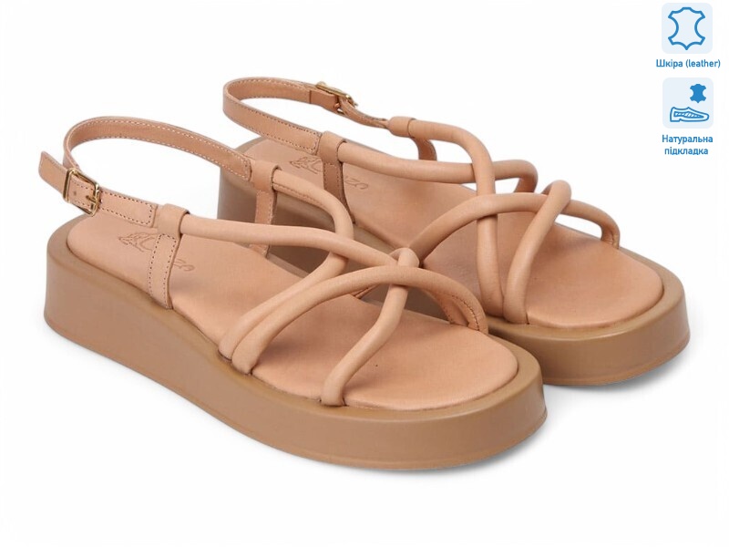 200489, 8 (36-41), <strong>31.3</strong>, літо