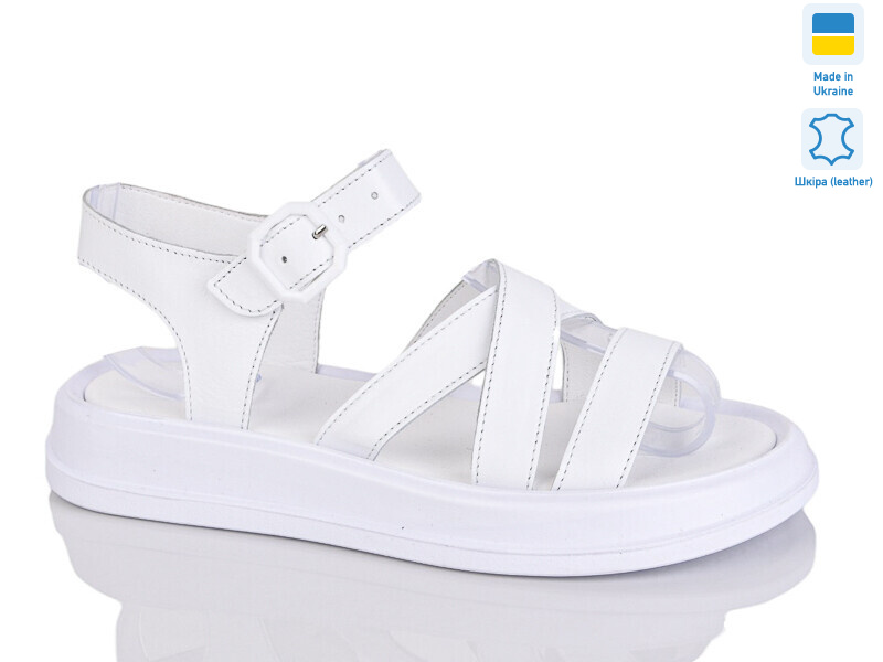 2103 б.к., 6 (36-40), <strong>580</strong>, літо