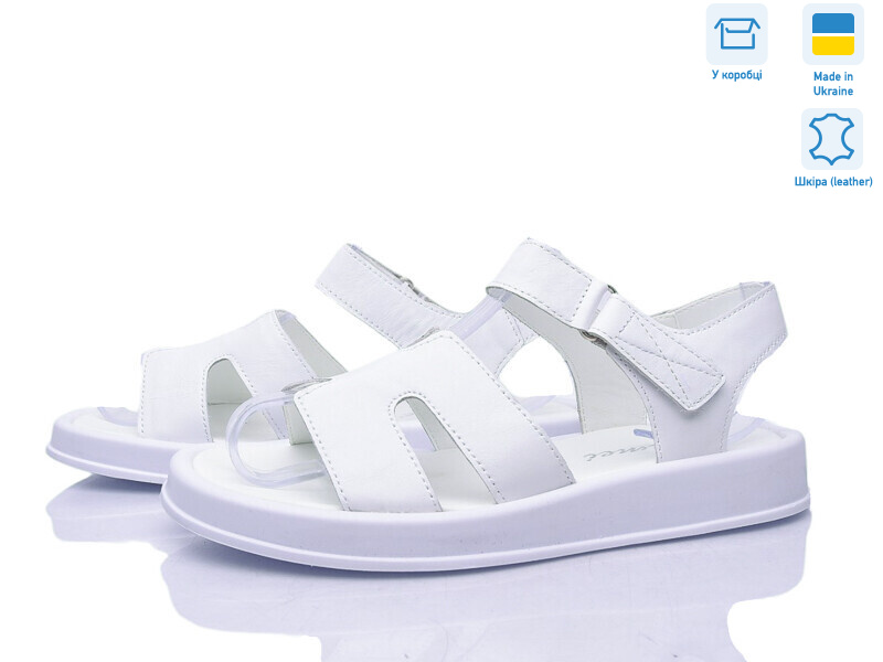 2122-32, 8 (36-41), <strong>590</strong>, літо