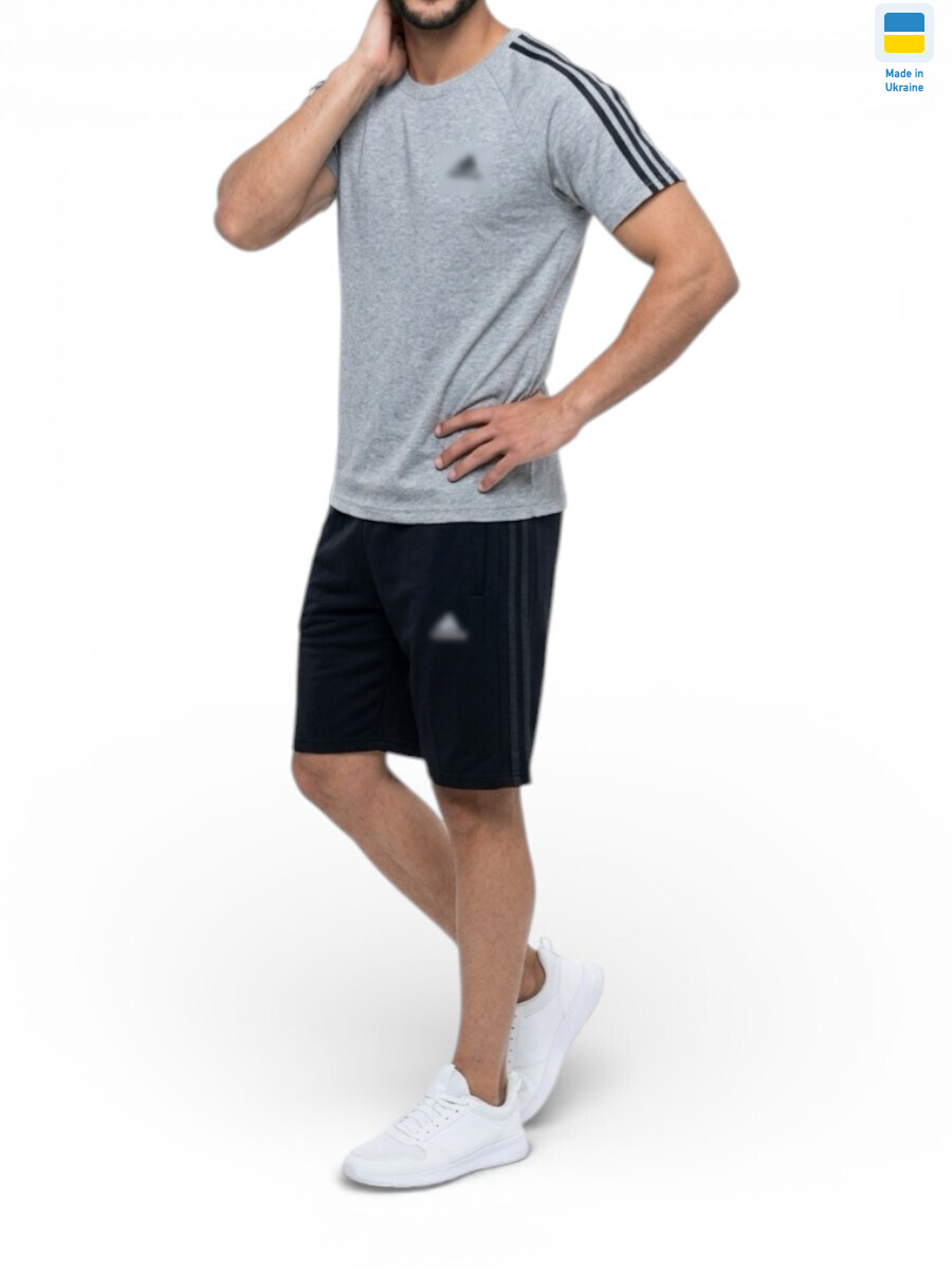 11AD св.сірий, 5 (46-54), <strong>480</strong>, літо