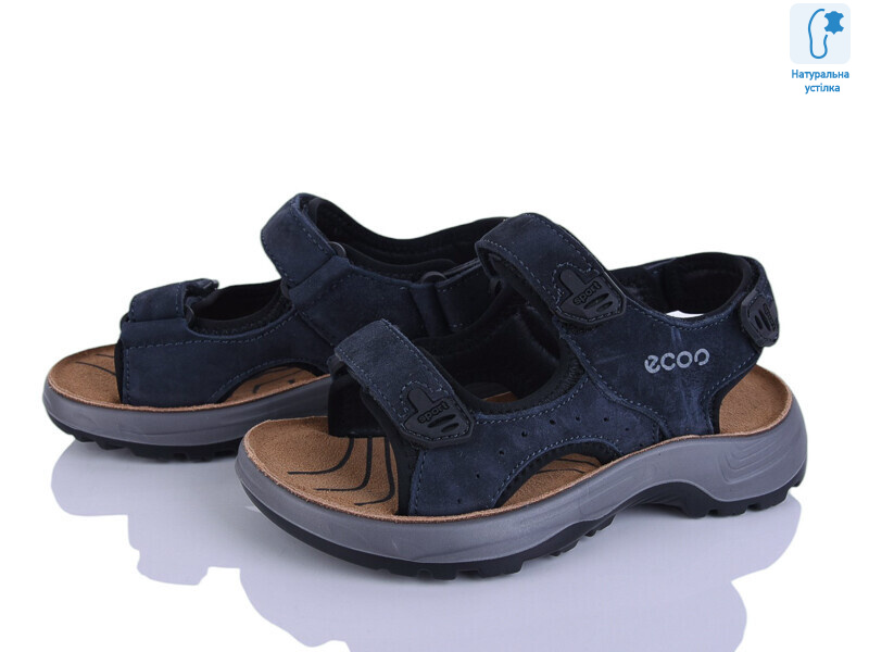 T61-2B, 8 (27-31), <strong>560</strong>, літо