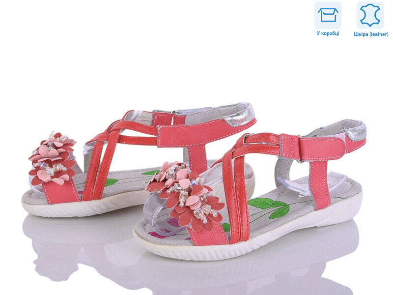 M264, 24 (31-36), <strong>85</strong>, літо