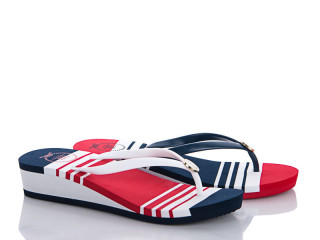 N1171, 16 (36-41), <strong>260</strong>, літо