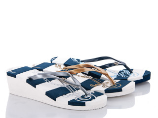 1159, 12 (36-41), <strong>275</strong>, літо