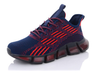 B3341-3, 8 (36-41), <strong>14</strong>, літо