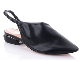 HL237-1, 6 (36-40), <strong>290</strong>, літо