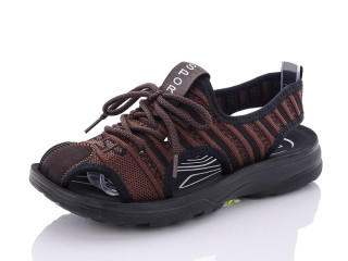 D639-3, 8 (36-41), <strong>130</strong>, літо