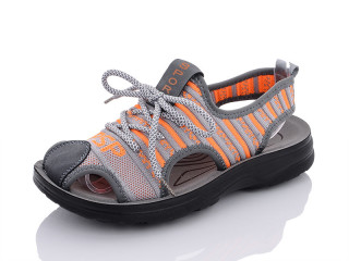 D639-6, 8 (36-41), <strong>130</strong>, літо