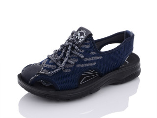 D650-1, 8 (36-41), <strong>130</strong>, літо