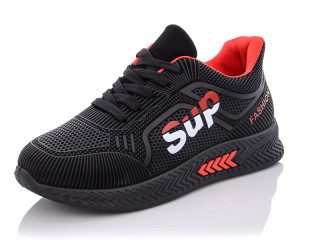 AP19-6, 6 (36-41), <strong>295</strong>, демісезон