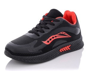 AP26-6, 6 (36-41), <strong>295</strong>, демісезон