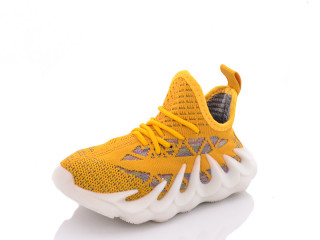 H88-4, 8 (26-31), <strong>170</strong>, літо