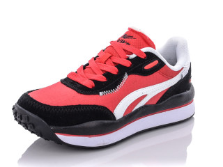 B038-6, 8 (36-41), <strong>14</strong>, демісезон