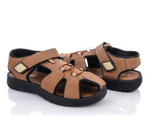 PL2(E3616) camel, 6 (36-41), <strong>180</strong>, літо