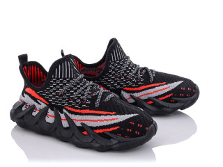 MB5552A, 12 (31-36), <strong>220</strong>, літо