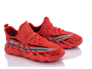 MB5552M, 12 (31-36), <strong>220</strong>, літо