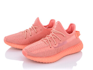 B9001-16, 8 (36-41), <strong>16</strong>, літо