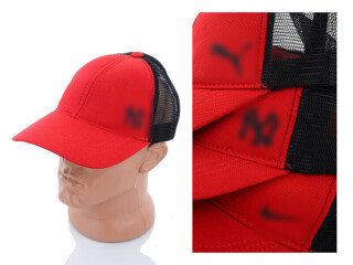 Кепка лакоста з сіткою та накатка 005 mix, 3 (One size), <strong>155</strong>, літо