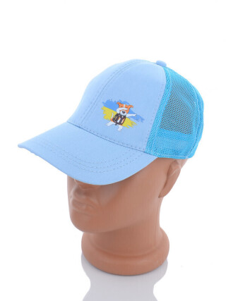 WQ011-1 l.blue, 2, <strong>145</strong>, літо