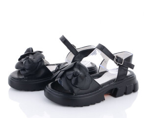 T202-2, 8 (30-37), <strong>340</strong>, літо