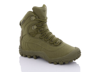 Legion khaki, 8 (37-40), <strong>2120</strong>, демісезон