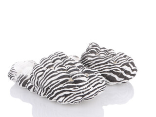 A6-6, 8 (36-41), <strong>130</strong>, літо