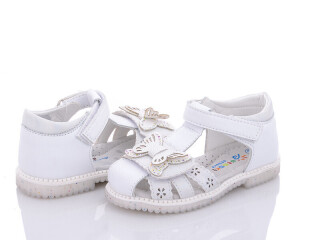 B2578-1A, 8 (23-28), <strong>300</strong>, літо