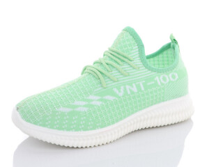 8-0691, 8 (37-41), <strong>295</strong>, літо