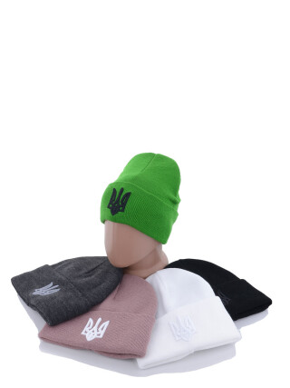 Шапка з вишивкою тризуб на флісі B001 mix, 5 (One size), <strong>135</strong>, зима