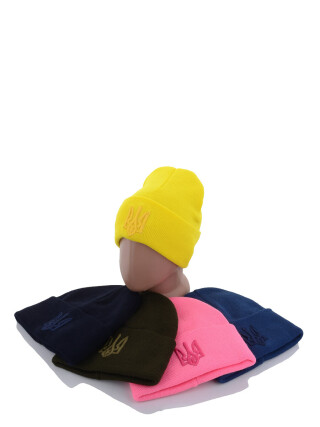 Шапка з вишивкою тризуб на флісі B002 mix, 5 (One size), <strong>135</strong>, зима