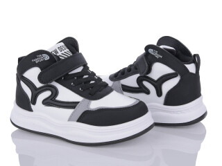 R100-2-3, 8 (26-31), <strong>250</strong>, демісезон