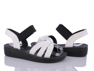 C18-2, 8 (36-41), <strong>255</strong>, літо