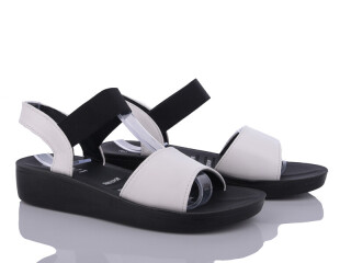 C17-2, 8 (36-41), <strong>255</strong>, літо