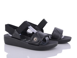 C11-1, 8 (36-41), <strong>255</strong>, літо