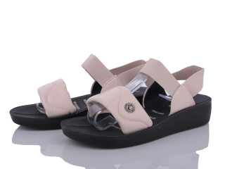 C11-3, 8 (36-41), <strong>255</strong>, літо