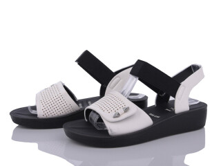 C4-2, 8 (36-41), <strong>255</strong>, літо