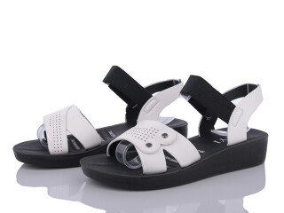 C26-2, 8 (36-41), <strong>255</strong>, літо