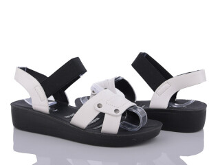 C21-2, 8 (36-41), <strong>255</strong>, літо