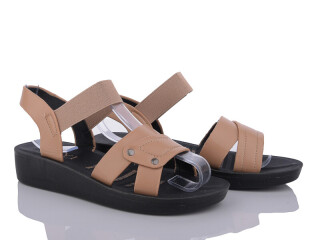 C21-4, 8 (36-41), <strong>255</strong>, літо