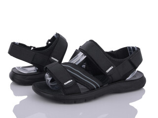 C113, 8 (40-45), <strong>330</strong>, літо