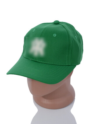 BN025-4 green, 5 (57-59), <strong>130</strong>, літо