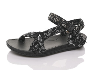 D2305, 12 (36-41), <strong>9.2</strong>, літо