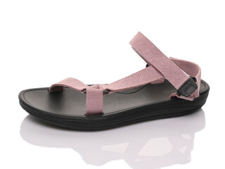 DZ300-11, 12 (36-41), <strong>11</strong>, літо