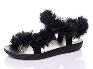 DZ309, 12 (36-41), <strong>11.5</strong>, літо