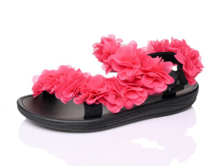 DZ309-5, 12 (36-41), <strong>11.5</strong>, літо